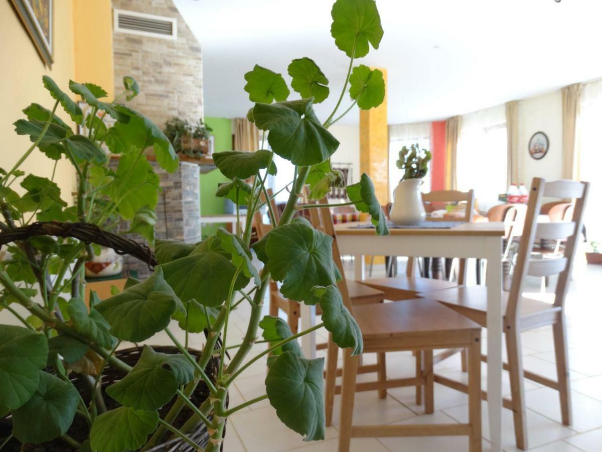 Guest House Misha Petrevene Экстерьер фото